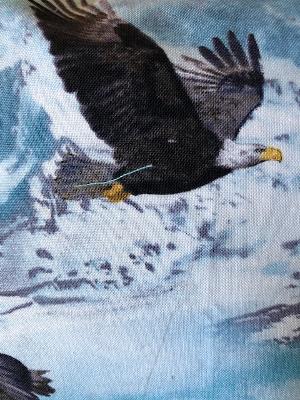 Soaring Eagles