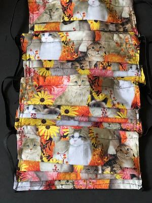 Purrfect Paws and Sunflowers