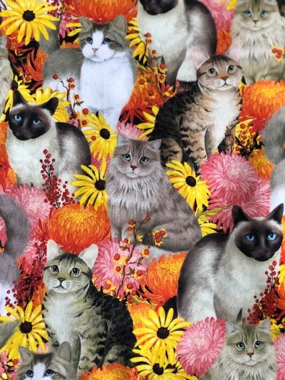 Purrfect Paws and Sunflowers